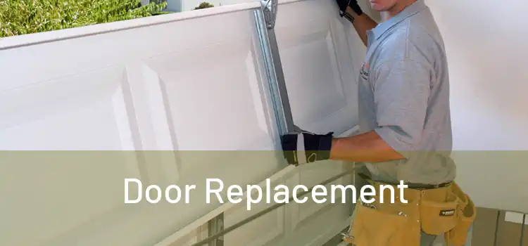  Door Replacement 